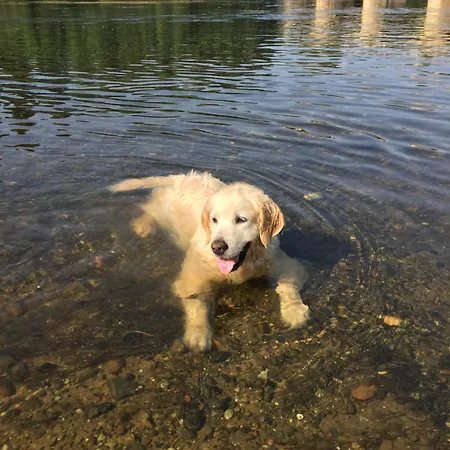 Apartamento L' Ecurie Lavaur (Dordogne)