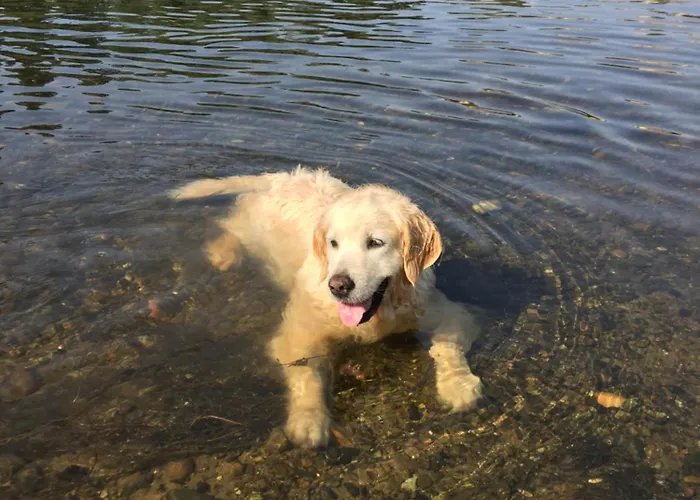 Daire L' Ecurie Lavaur (Dordogne)